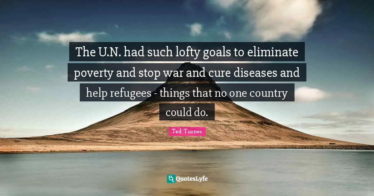 The U.N. had such lofty goals to eliminate poverty and stop war and cure diseases and help refugees - things that no one country could do.