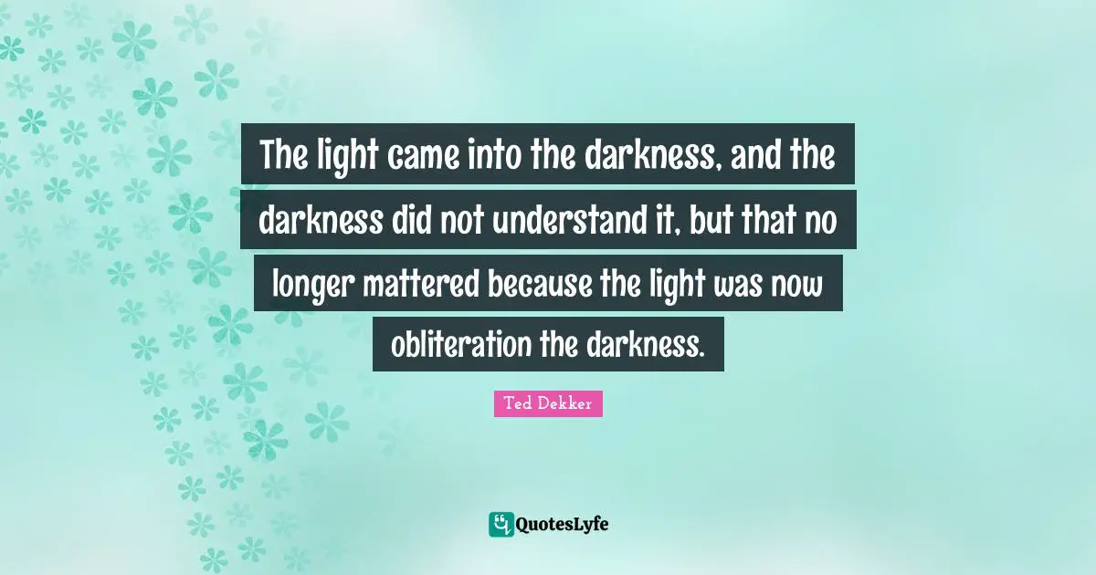 The light came into the darkness, and the darkness did not understand it, but that no longer mattered because the light was now obliteration the darkness.