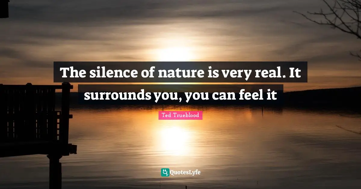 The silence of nature is very real. It surrounds you, you can feel it