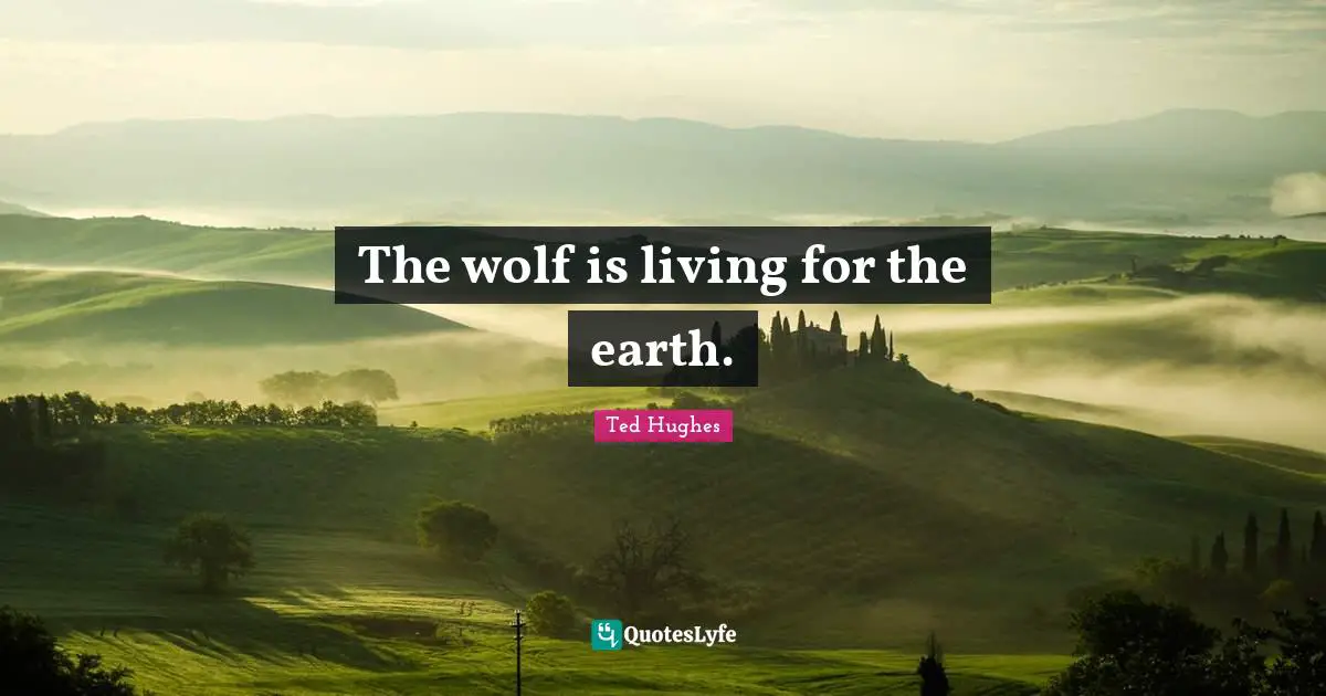 Ted Hughes Quotes: "The wolf is living for the earth."
