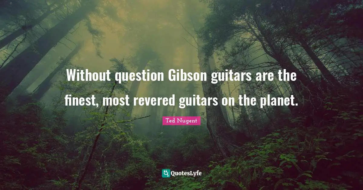 Without question Gibson guitars are the finest, most revered guitars on the planet.
