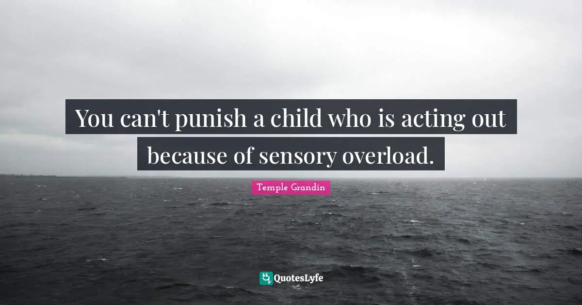 Overload Quotes: "You can't punish a child who is acting out because of sensory overload."