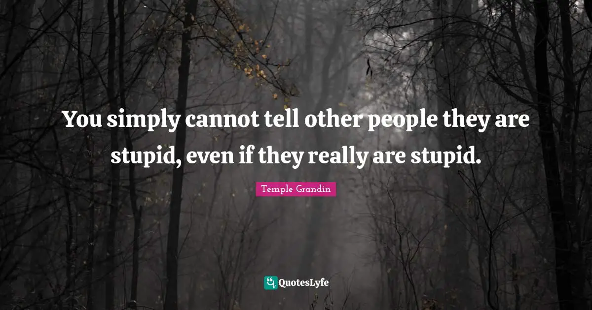 You simply cannot tell other people they are stupid, even if they really are stupid.
