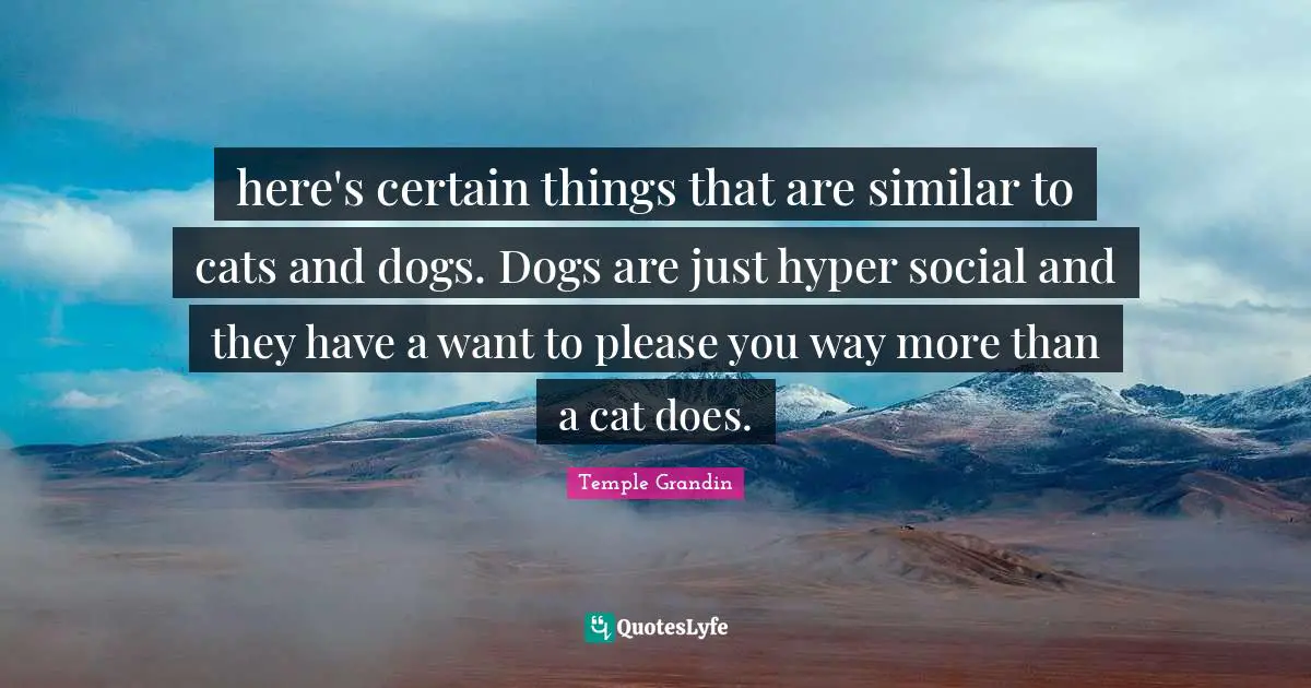 here's certain things that are similar to cats and dogs. Dogs are just hyper social and they have a want to please you way more than a cat does.