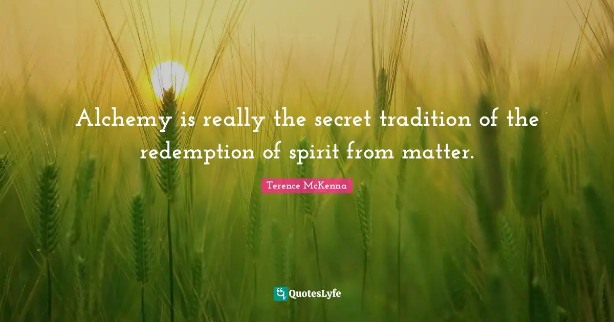 Alchemy is really the secret tradition of the redemption of spirit from matter.