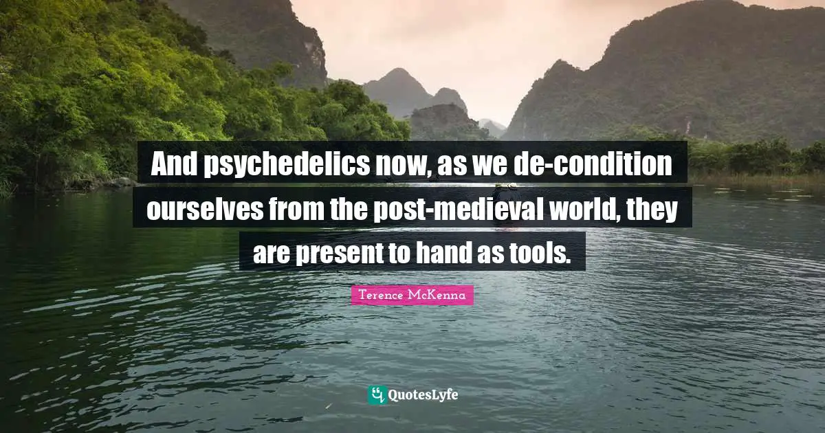 And psychedelics now, as we de-condition ourselves from the post-medieval world, they are present to hand as tools.