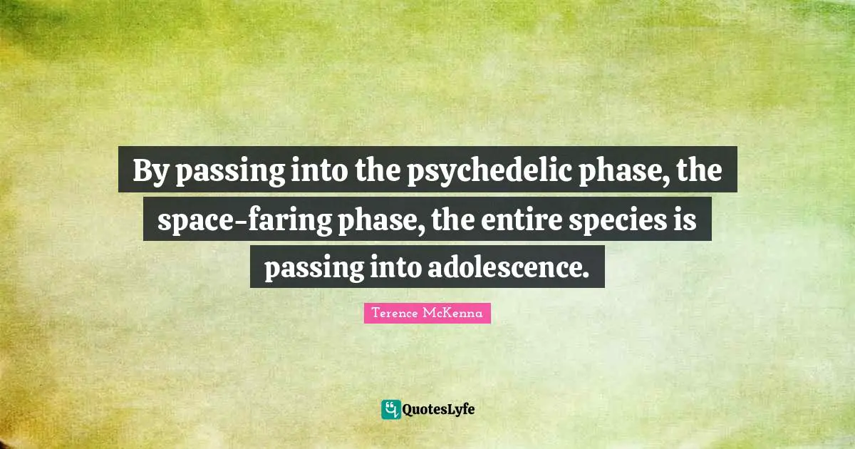 By passing into the psychedelic phase, the space-faring phase, the entire species is passing into adolescence.