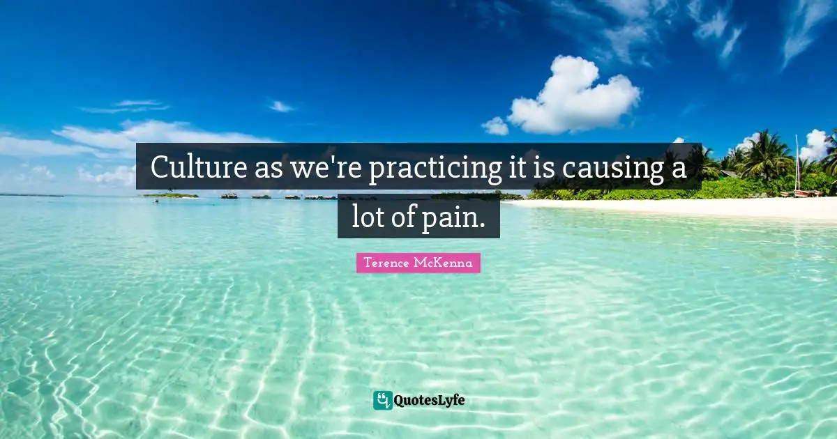 Culture as we're practicing it is causing a lot of pain.