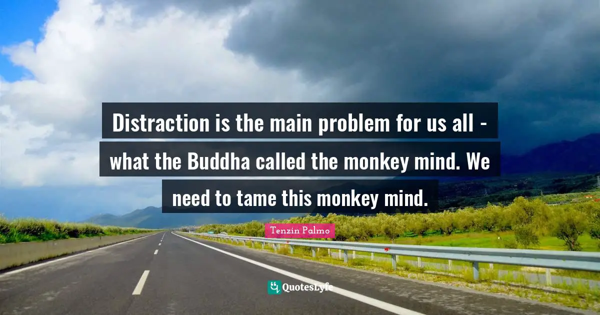 Distraction is the main problem for us all - what the Buddha called the monkey mind. We need to tame this monkey mind.