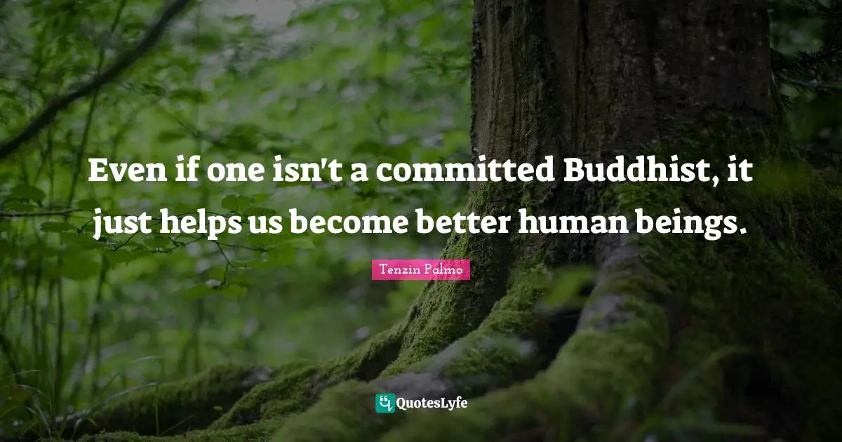 Even if one isn't a committed Buddhist, it just helps us become better human beings.