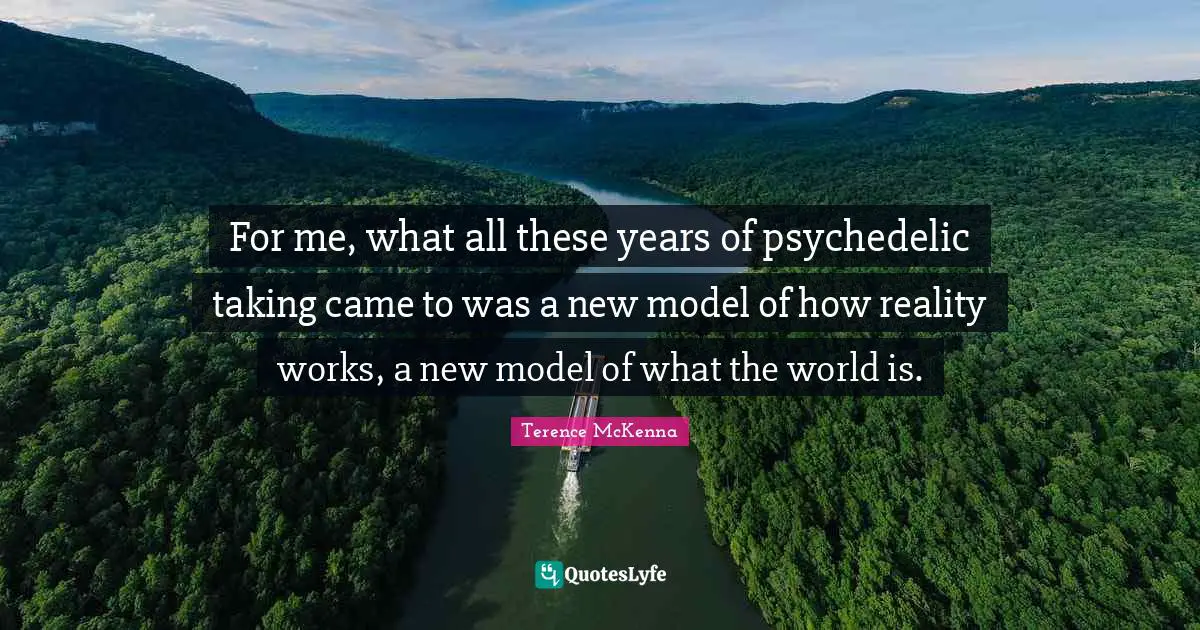 For me, what all these years of psychedelic taking came to was a new model of how reality works, a new model of what the world is.