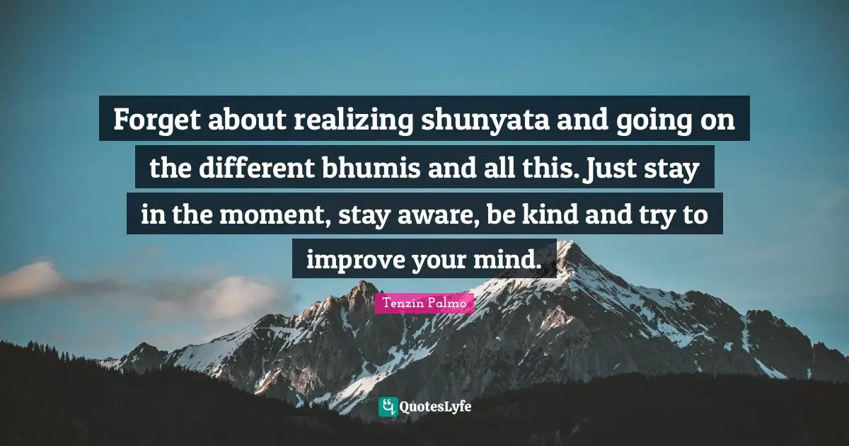Forget about realizing shunyata and going on the different bhumis and all this. Just stay in the moment, stay aware, be kind and try to improve your mind.