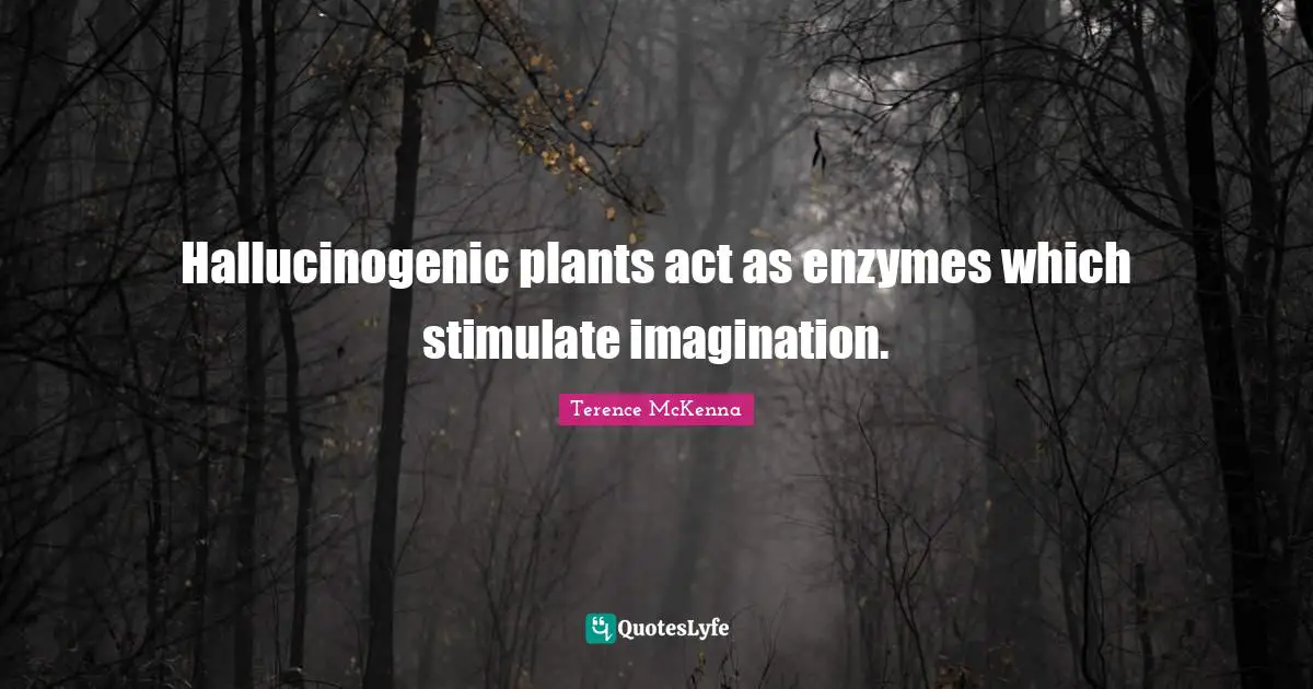 Hallucinogenic plants act as enzymes which stimulate imagination.