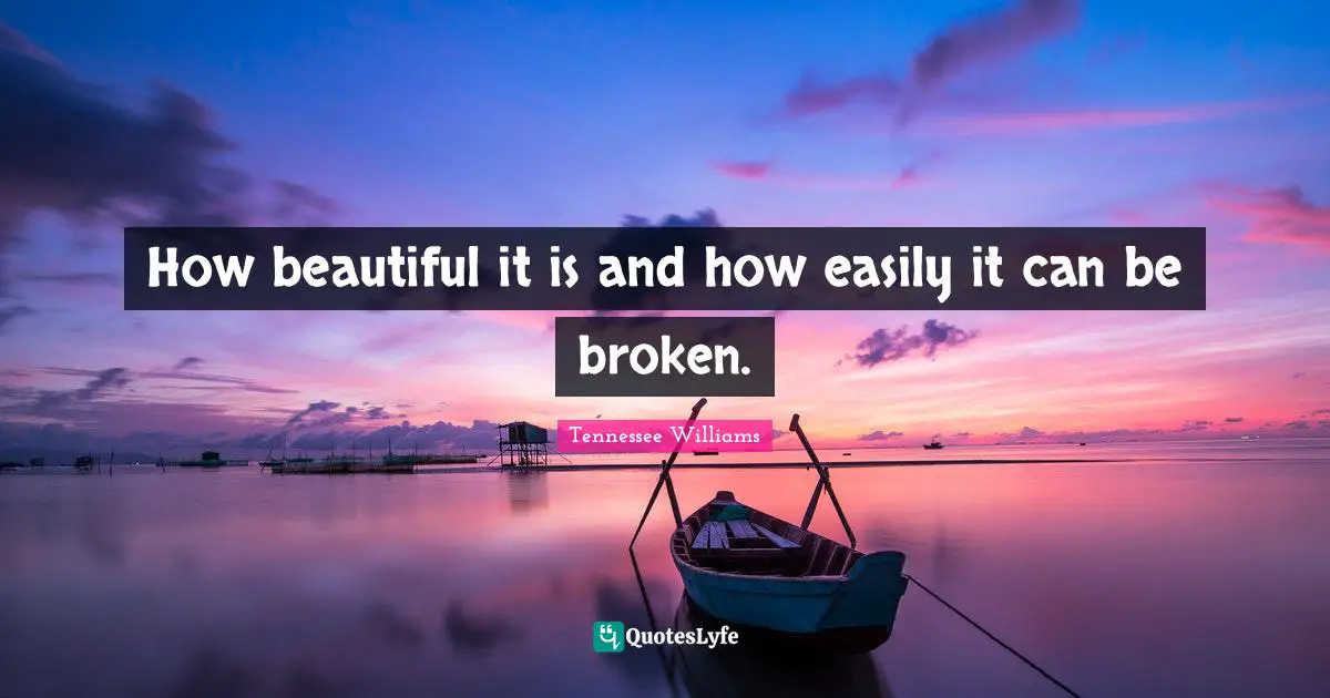 How beautiful it is and how easily it can be broken.
