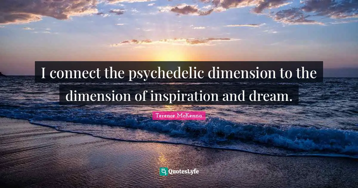 I connect the psychedelic dimension to the dimension of inspiration and dream.