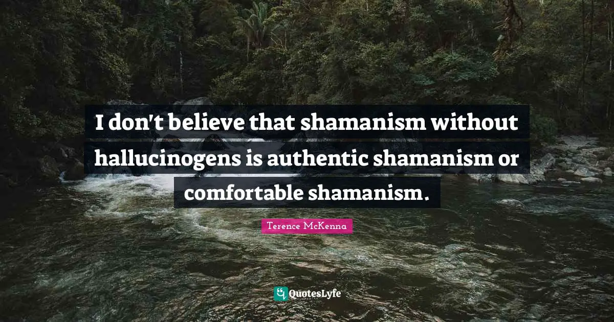 I don't believe that shamanism without hallucinogens is authentic shamanism or comfortable shamanism.