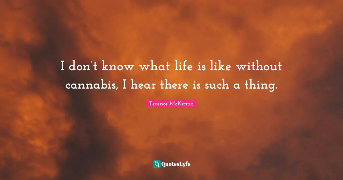 I don’t know what life is like without cannabis, I hear there is such a thing.