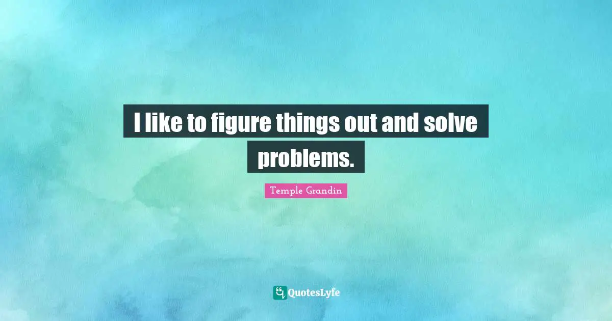 I like to figure things out and solve problems.