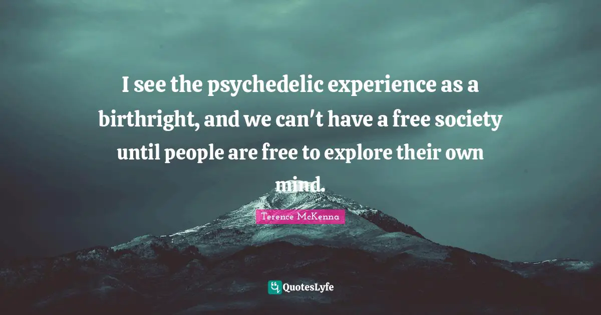 I see the psychedelic experience as a birthright, and we can't have a free society until people are free to explore their own mind.