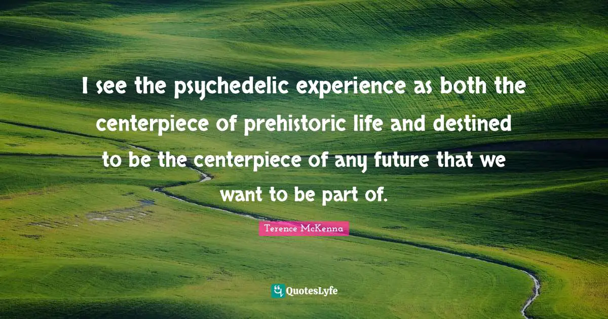 I see the psychedelic experience as both the centerpiece of prehistoric life and destined to be the centerpiece of any future that we want to be part of.