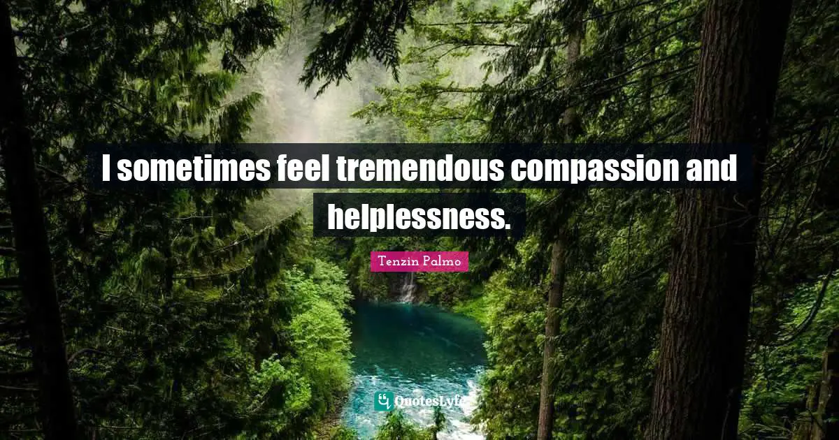 I sometimes feel tremendous compassion and helplessness.