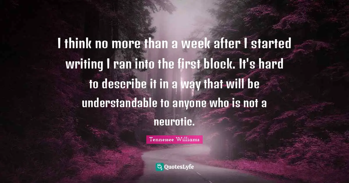 I think no more than a week after I started writing I ran into the first block. It's hard to describe it in a way that will be understandable to anyone who is not a neurotic.