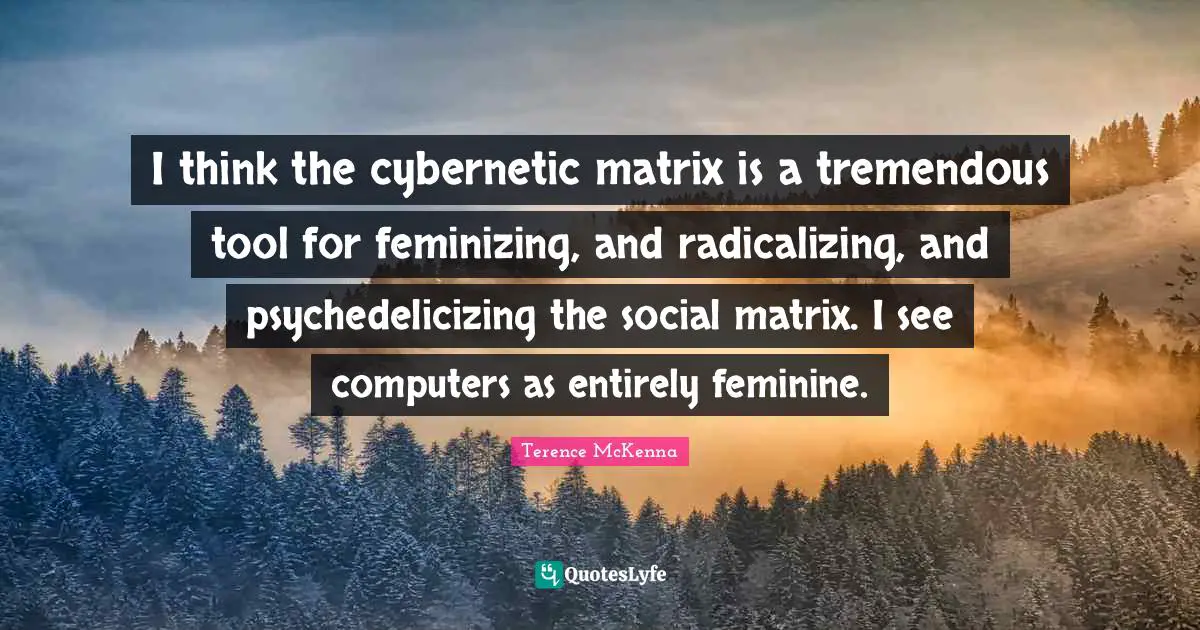 I think the cybernetic matrix is a tremendous tool for feminizing, and radicalizing, and psychedelicizing the social matrix. I see computers as entirely feminine.
