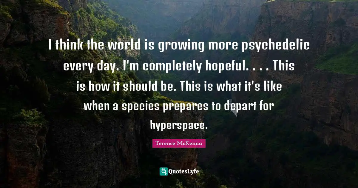 I think the world is growing more psychedelic every day. I'm completely hopeful. . . . This is how it should be. This is what it's like when a species prepares to depart for hyperspace.