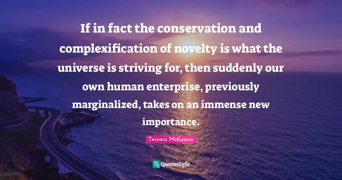 If in fact the conservation and complexification of novelty is what the universe is striving for, then suddenly our own human enterprise, previously marginalized, takes on an immense new importance.