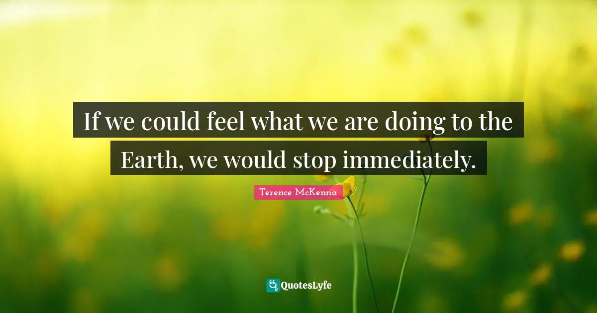 If we could feel what we are doing to the Earth, we would stop immediately.