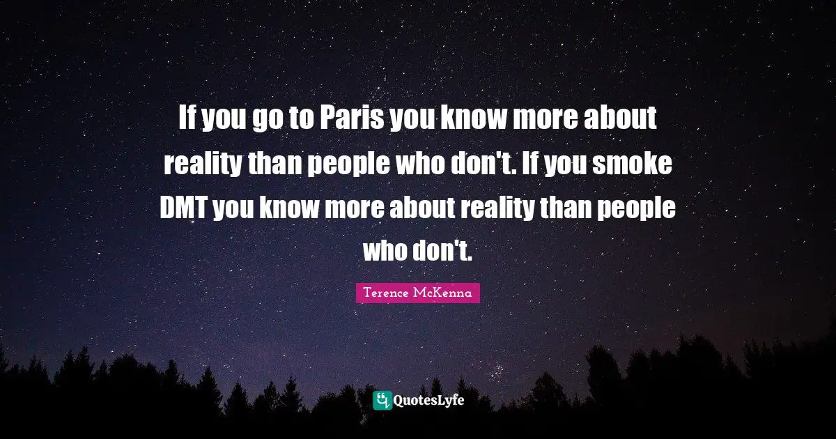 If you go to Paris you know more about reality than people who don't. If you smoke DMT you know more about reality than people who don't.