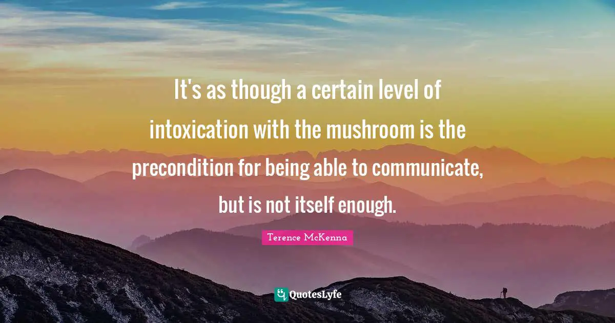It's as though a certain level of intoxication with the mushroom is the precondition for being able to communicate, but is not itself enough.