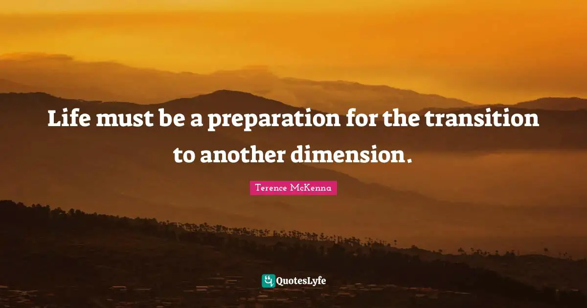 Life must be a preparation for the transition to another dimension.