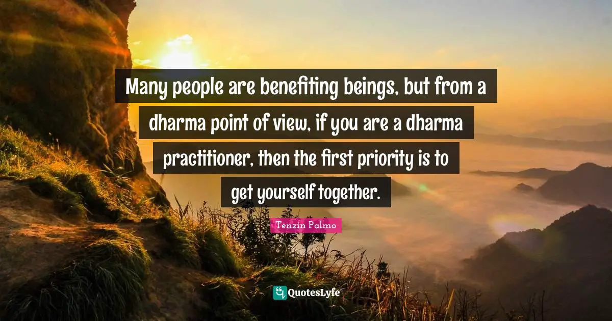 Many people are benefiting beings, but from a dharma point of view, if you are a dharma practitioner, then the first priority is to get yourself together.
