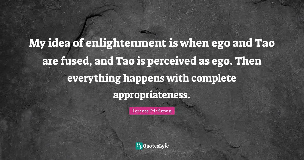 My idea of enlightenment is when ego and Tao are fused, and Tao is perceived as ego. Then everything happens with complete appropriateness.
