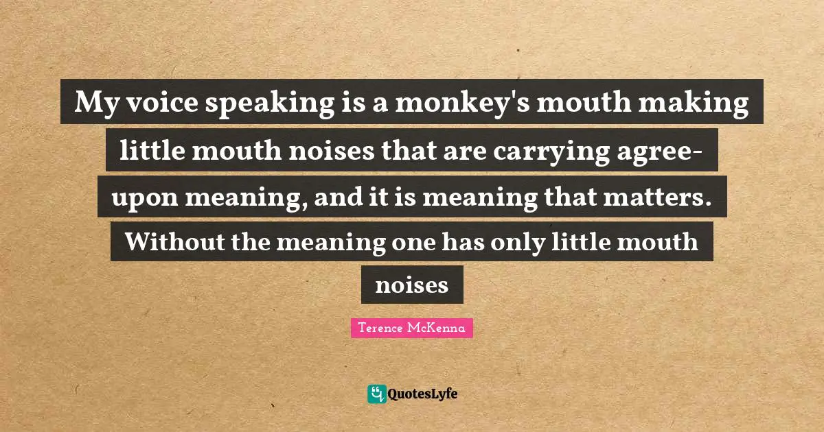 My voice speaking is a monkey's mouth making little mouth noises that are carrying agree-upon meaning, and it is meaning that matters. Without the meaning one has only little mouth noises