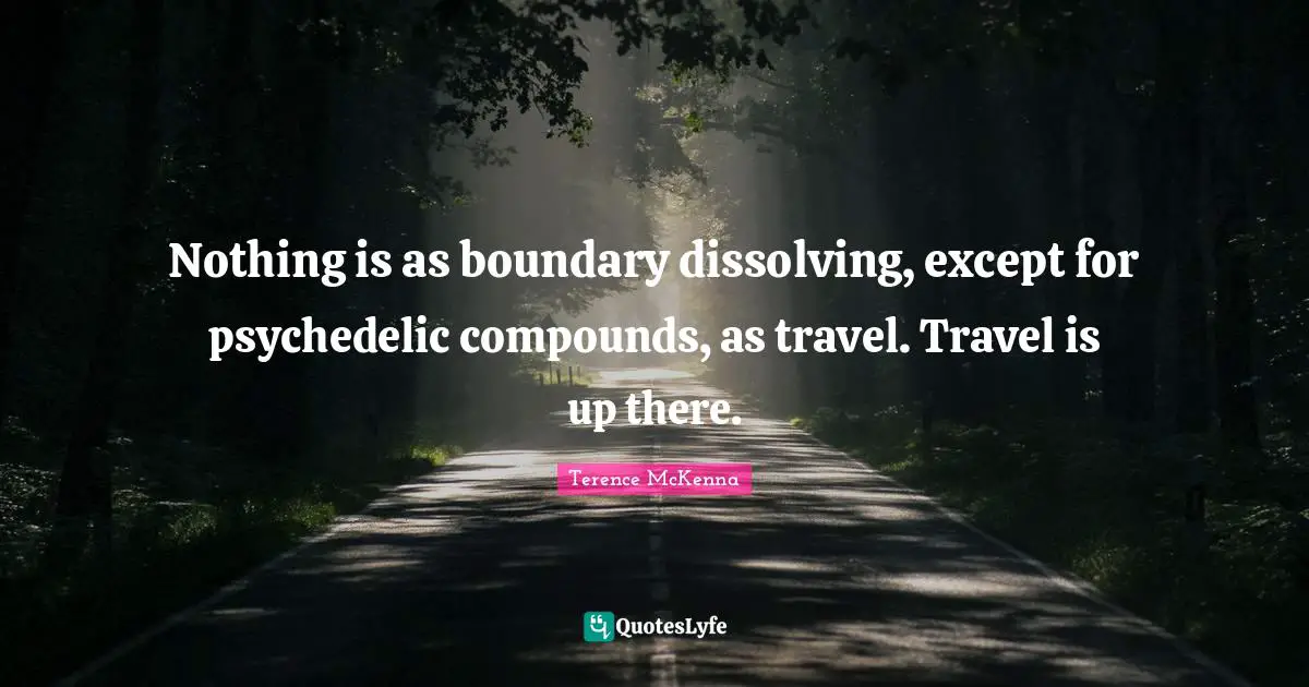 Nothing is as boundary dissolving, except for psychedelic compounds, as travel. Travel is up there.