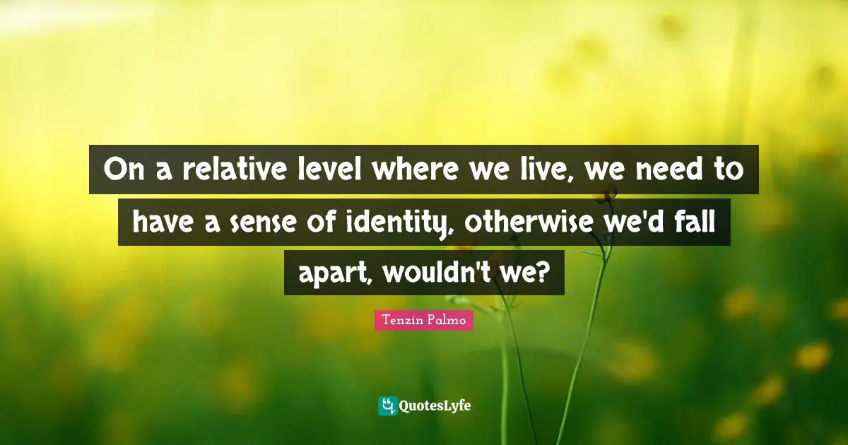 On a relative level where we live, we need to have a sense of identity, otherwise we'd fall apart, wouldn't we?