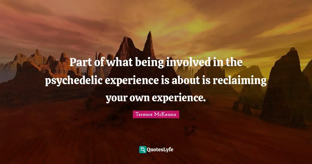 Part of what being involved in the psychedelic experience is about is reclaiming your own experience.