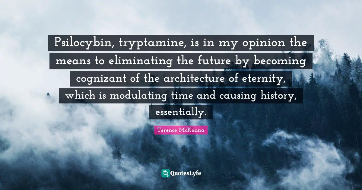 Eliminating Quotes: "Psilocybin, tryptamine, is in my opinion the means to eliminating the future by becoming cognizant of the architecture of eternity, which is modulating time and causing history, essentially."