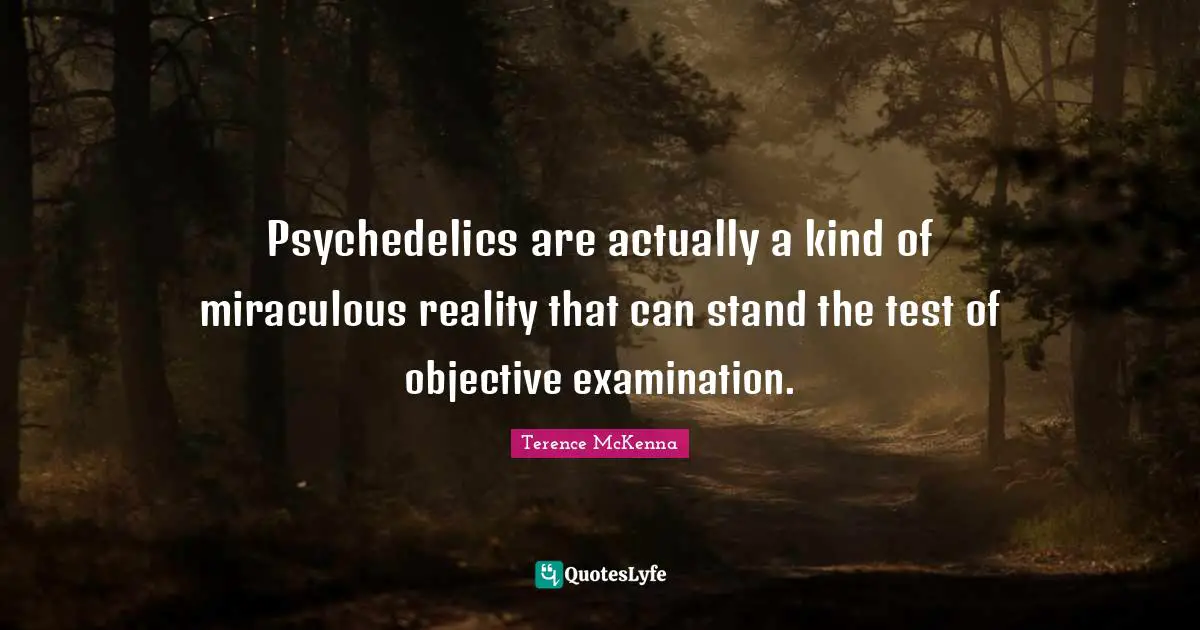 Psychedelics are actually a kind of miraculous reality that can stand the test of objective examination.