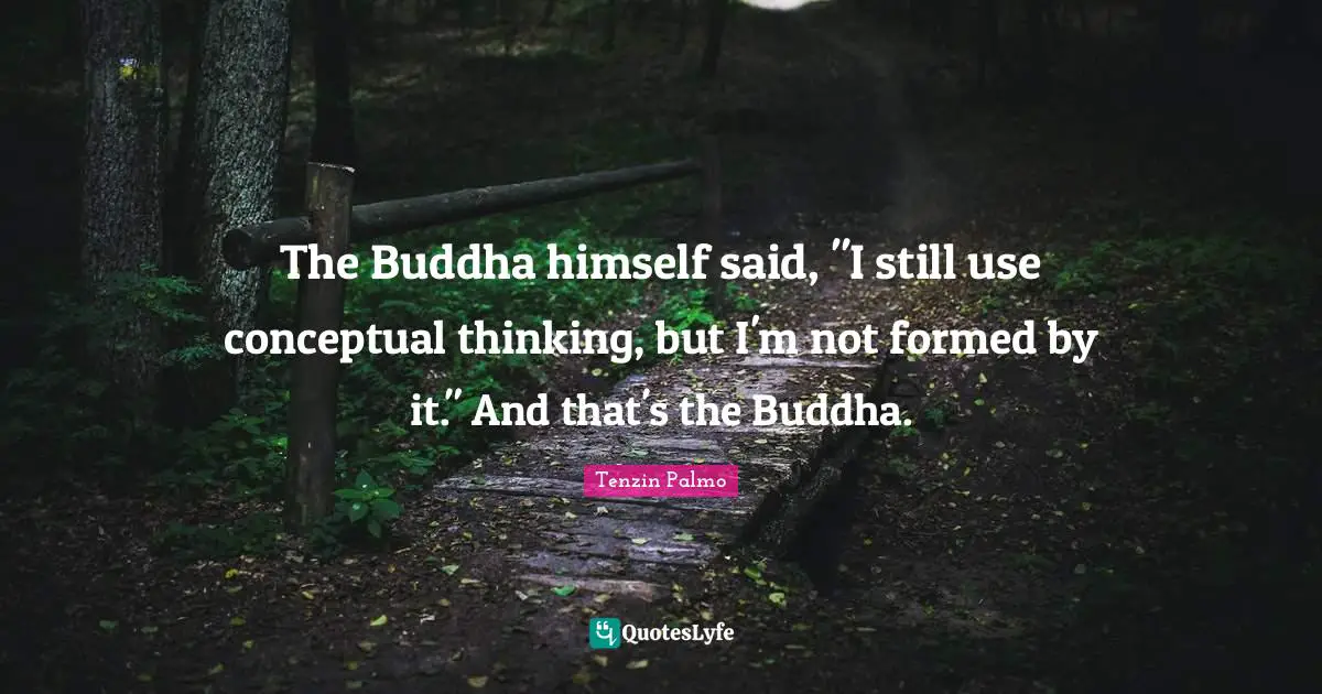 The Buddha himself said, "I still use conceptual thinking, but I'm not formed by it." And that's the Buddha.