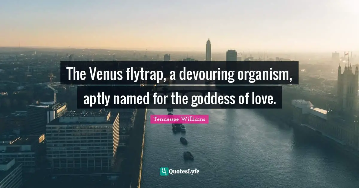 The Venus flytrap, a devouring organism, aptly named for the goddess of love.