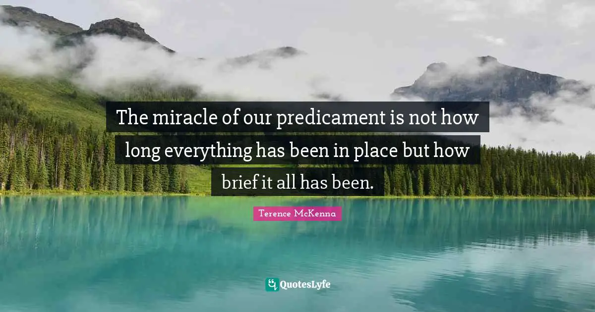 The miracle of our predicament is not how long everything has been in place but how brief it all has been.