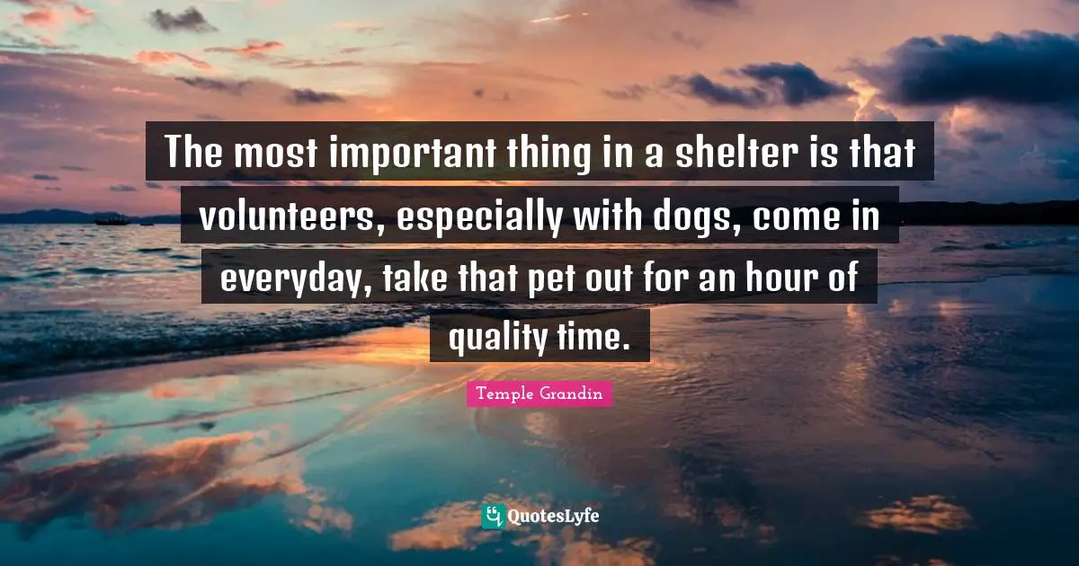The most important thing in a shelter is that volunteers, especially with dogs, come in everyday, take that pet out for an hour of quality time.