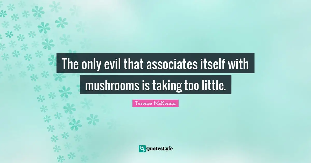 The only evil that associates itself with mushrooms is taking too little.