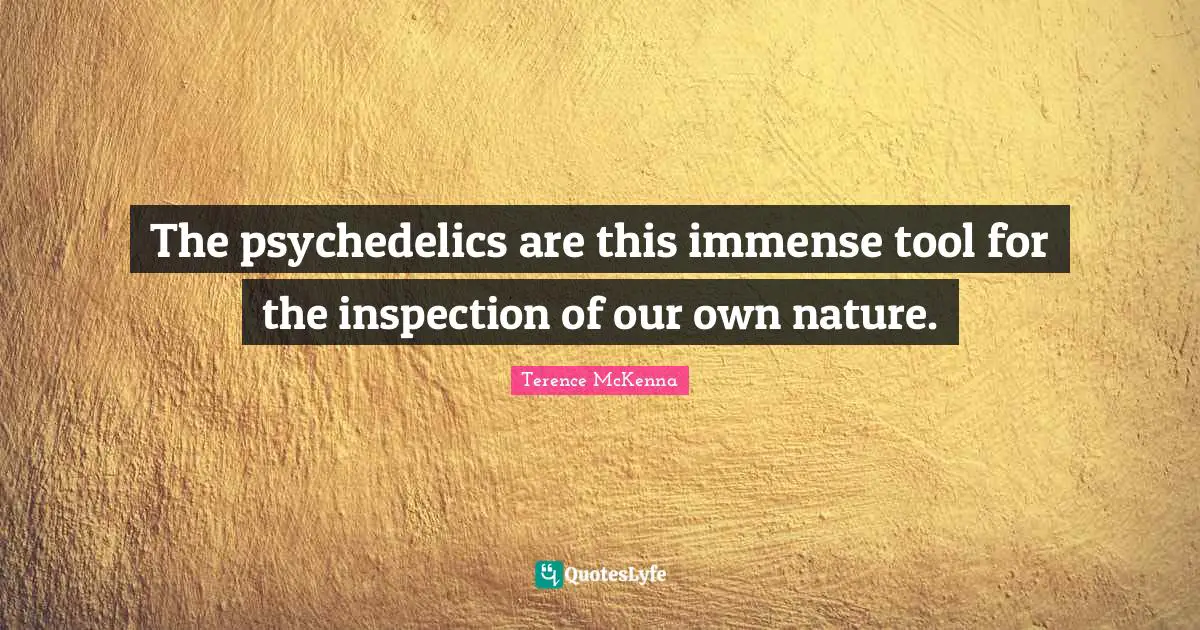 The psychedelics are this immense tool for the inspection of our own nature.