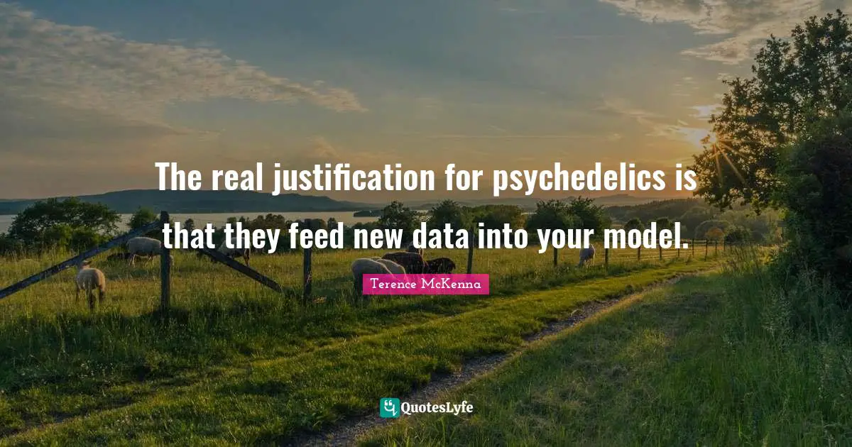 The real justification for psychedelics is that they feed new data into your model.