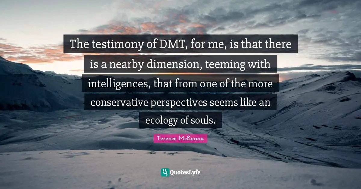 Conservative Quotes: "The testimony of DMT, for me, is that there is a nearby dimension, teeming with intelligences, that from one of the more conservative perspectives seems like an ecology of souls."