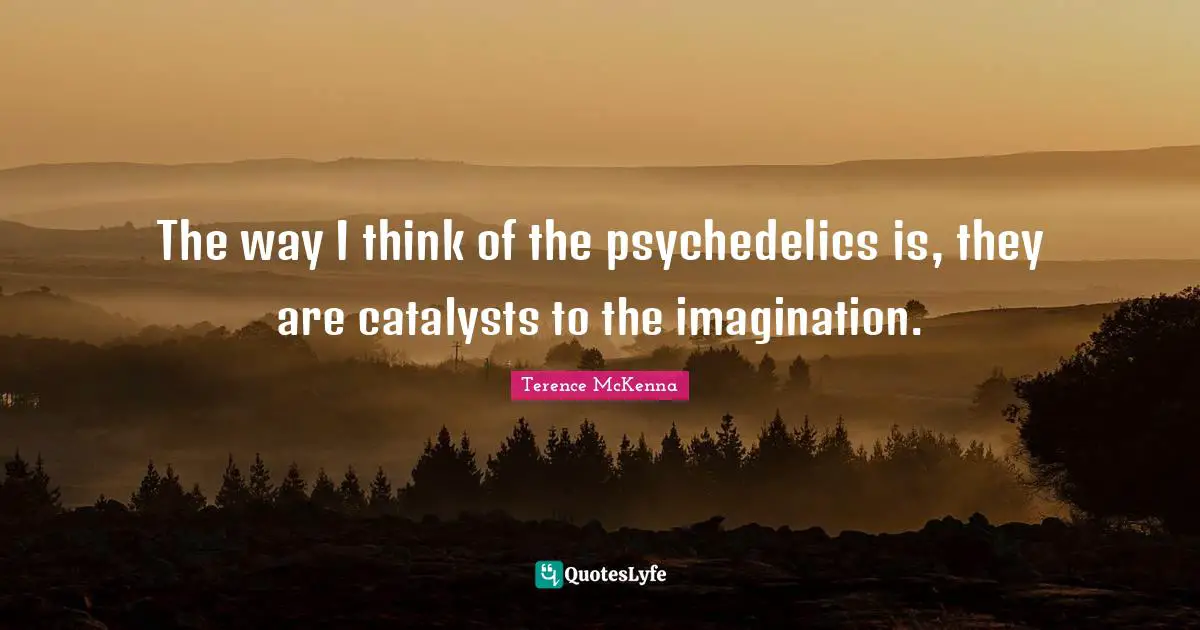 The way I think of the psychedelics is, they are catalysts to the imagination.